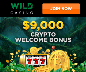 Prime 10 Beste Online On Line Casino's & Speelhallen Van 2026 Prime 10 Beste Online On Line Casino's & Speelhallen Van 2026