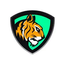 نقد و بررسي صرافي BiKing (بایکینگ (BiKing))