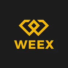 نقد و بررسي صرافي Weex (ویکس)