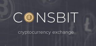 Coinsbit-Logotype